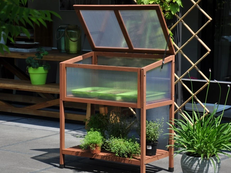 Royal Well Broeikas Red Leaf 90 x 45 cm - Afbeelding 1